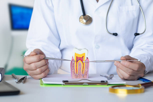 Best Mobile Emergency Dentist in Stockton, KS